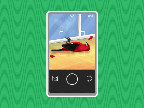 Exemplo de formulário preenchido para reportar colisões