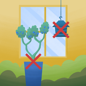 Remoção de atrativos próximos à vidraça